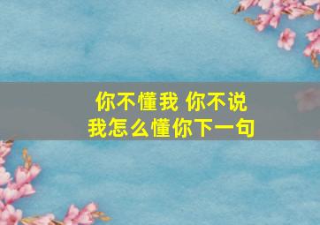 你不懂我 你不说我怎么懂你下一句